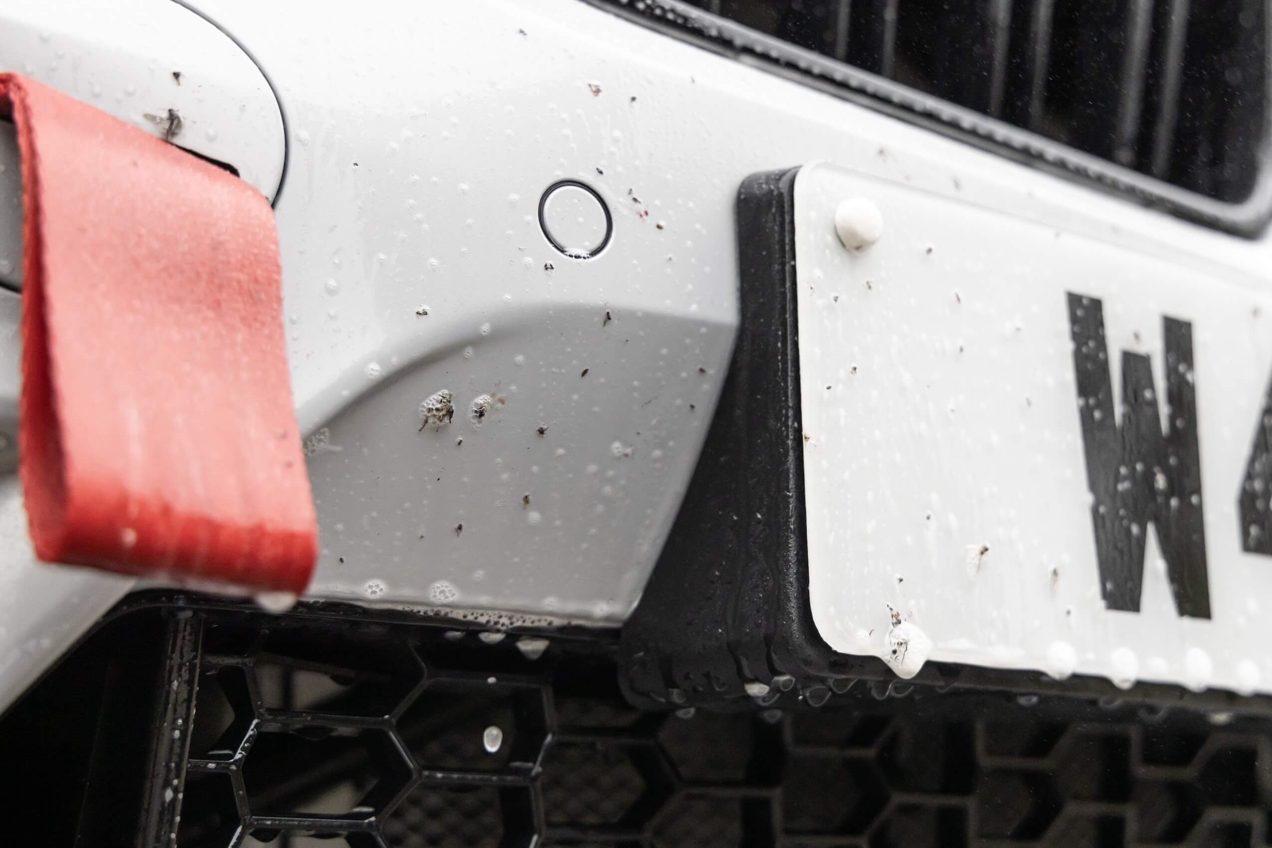 Auto Finesse | Citrus Power - The Citrus Pre-Wash That Hits Bugs &amp; Road Grime Hard!