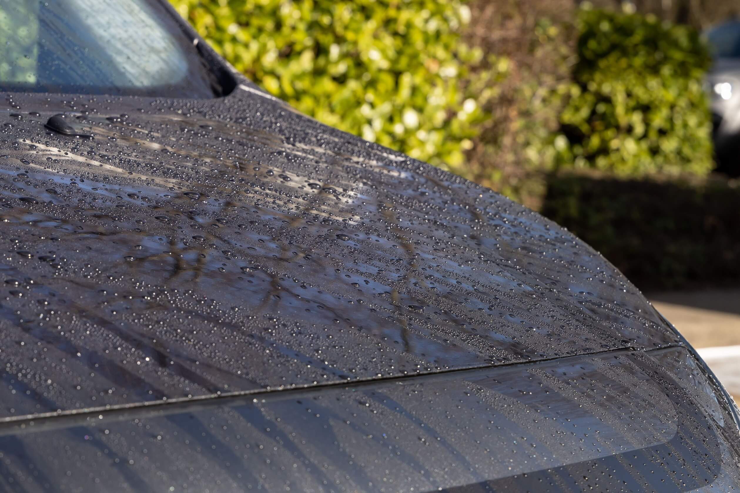 Auto Finesse | Lavish Ceramic Snow Foam Top Up Ceramic Layers