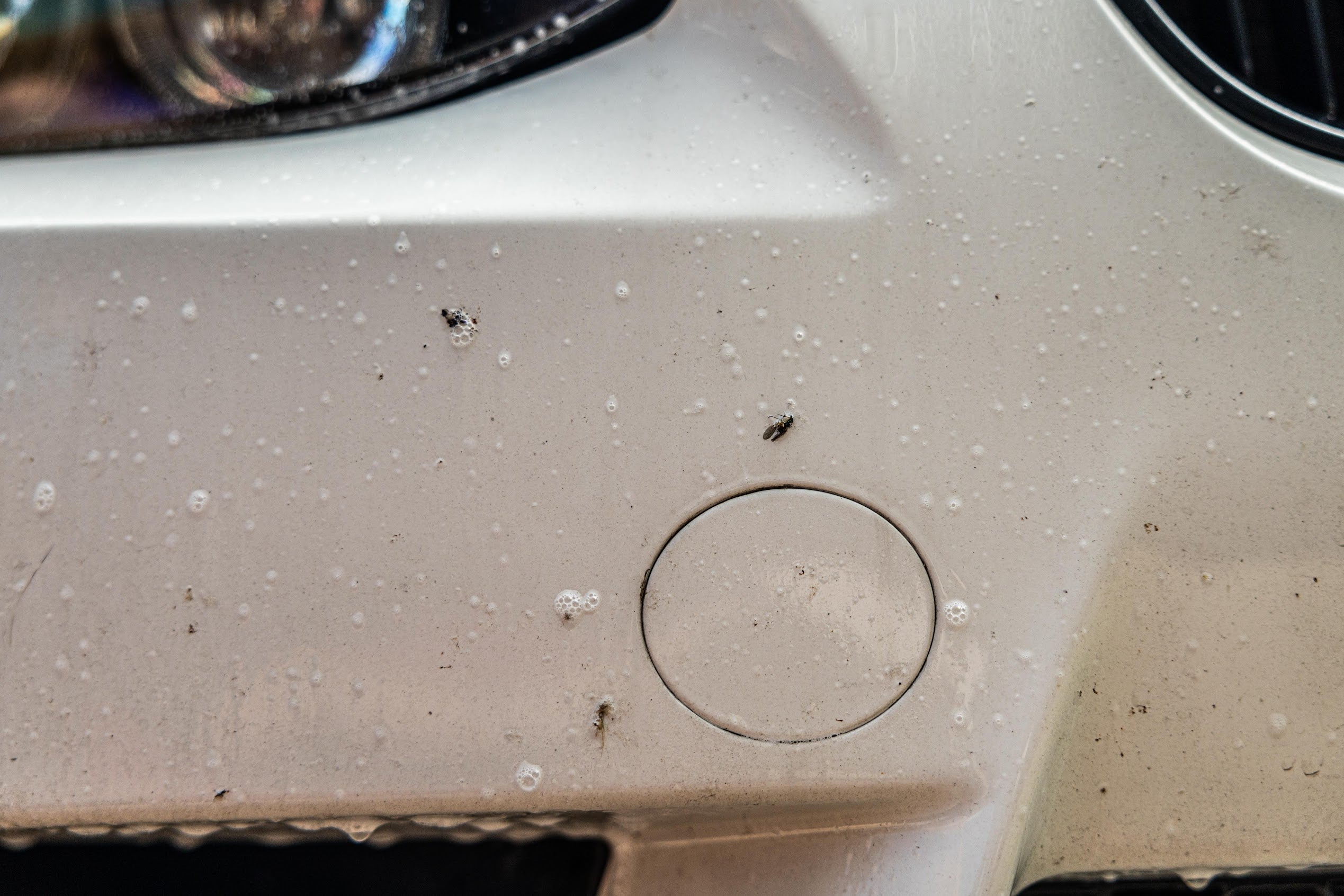 Auto Finesse | Citrus Power | Pre-Wash - Bug &amp; Grime Remover