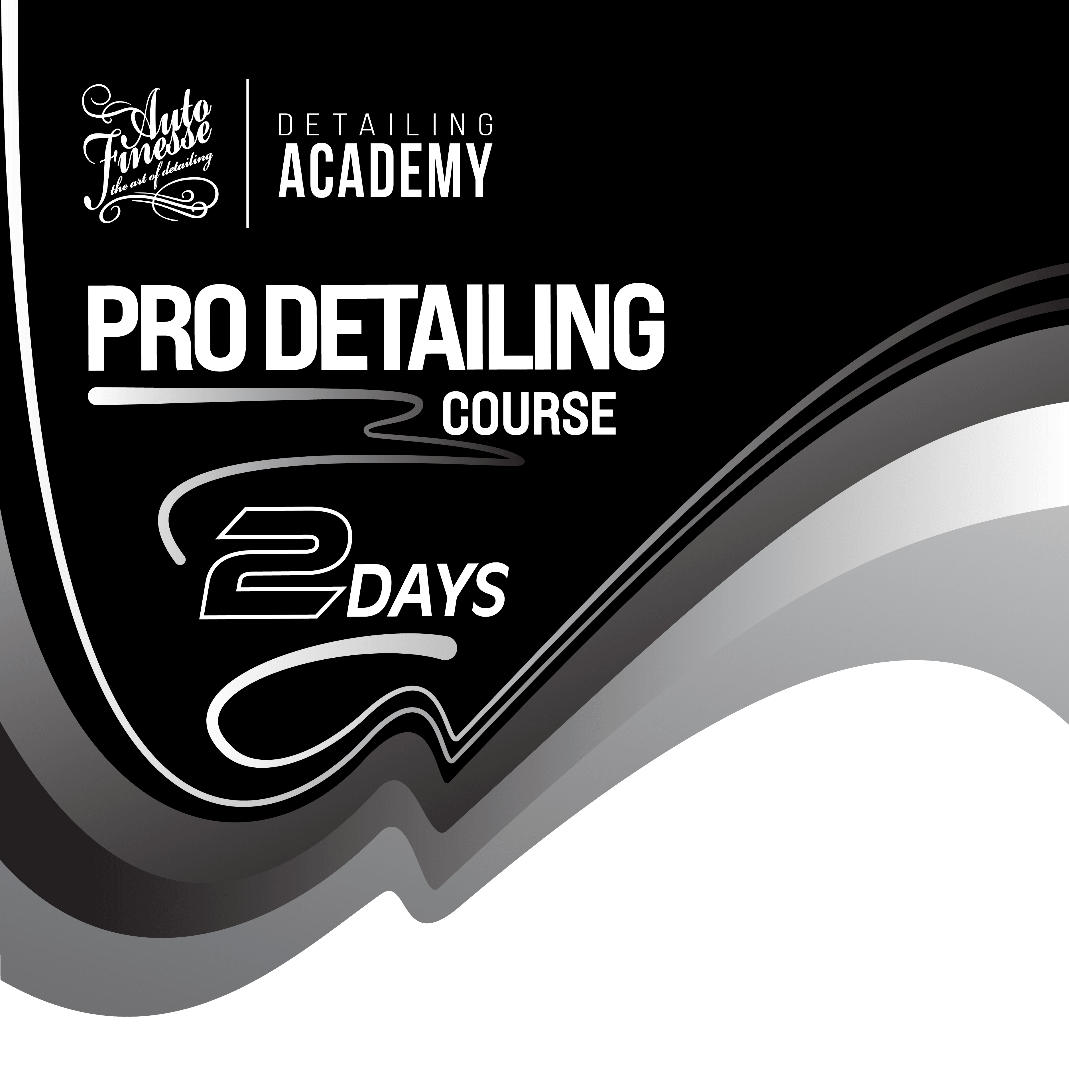 Pro Detailing Course