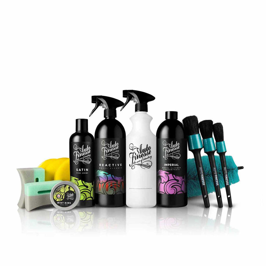 Car detailing products set with brushes and applicators